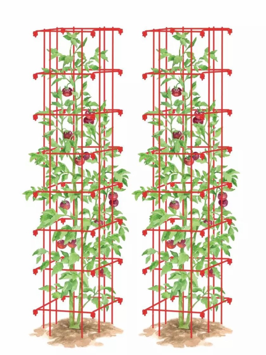 Plant Supports * | Gsc Tomato Towers, Set Of 2