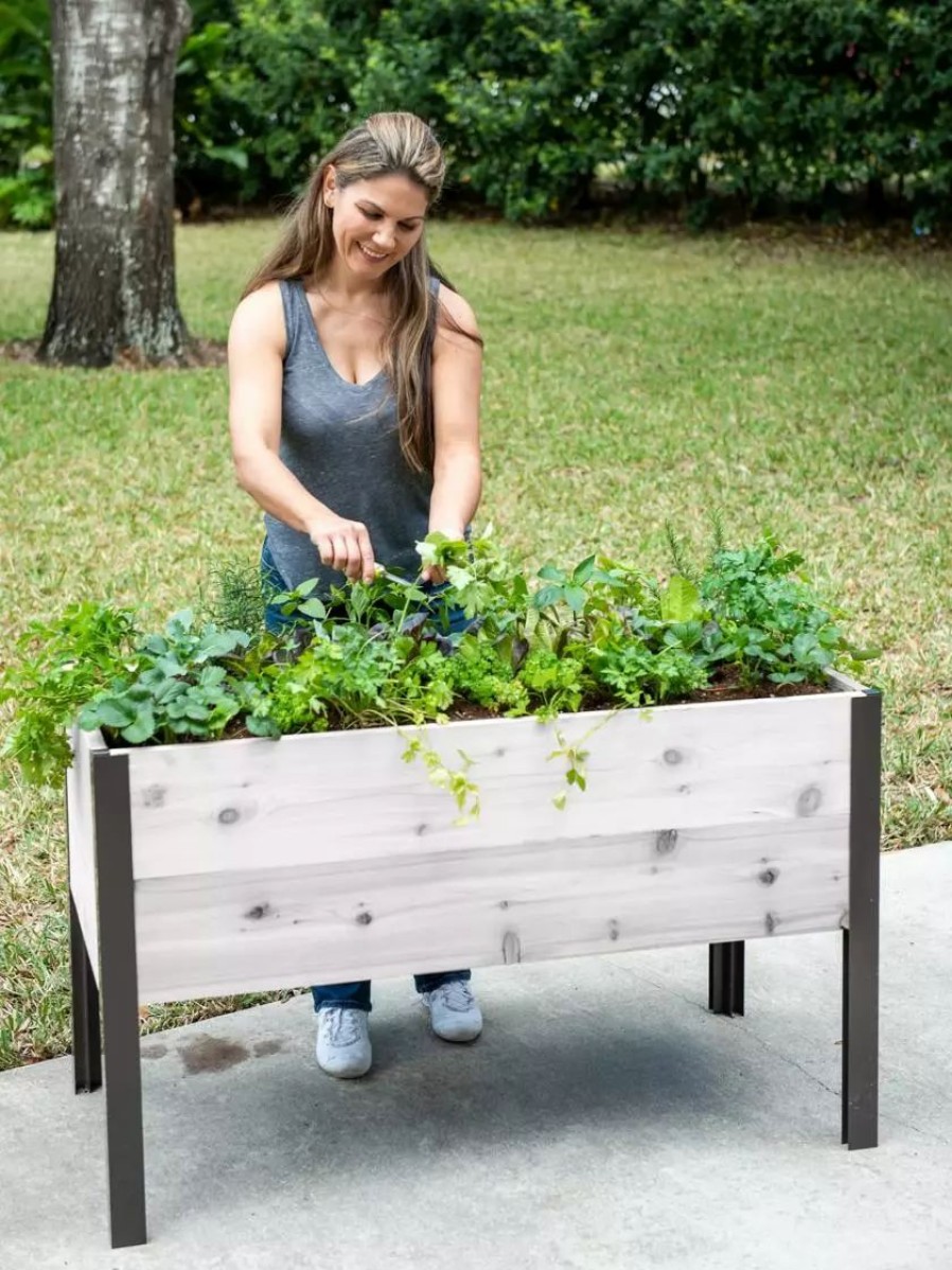 Planters & Raised Beds * | Gsc Self-Watering Eco-Stained Elevated Planter Box, 2 X 4