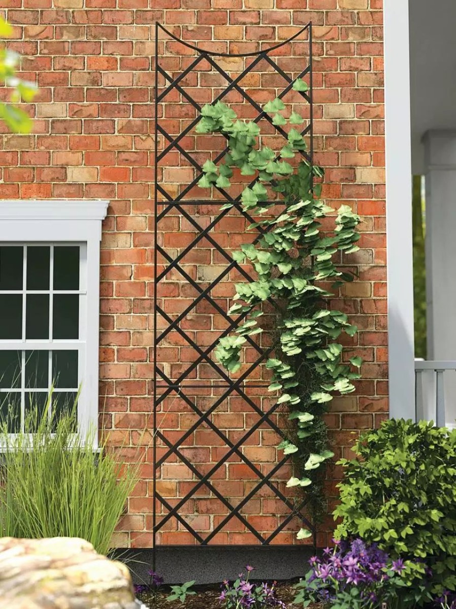 Plant Supports * | Gsc Panacea Giant Garden Trellis, 9