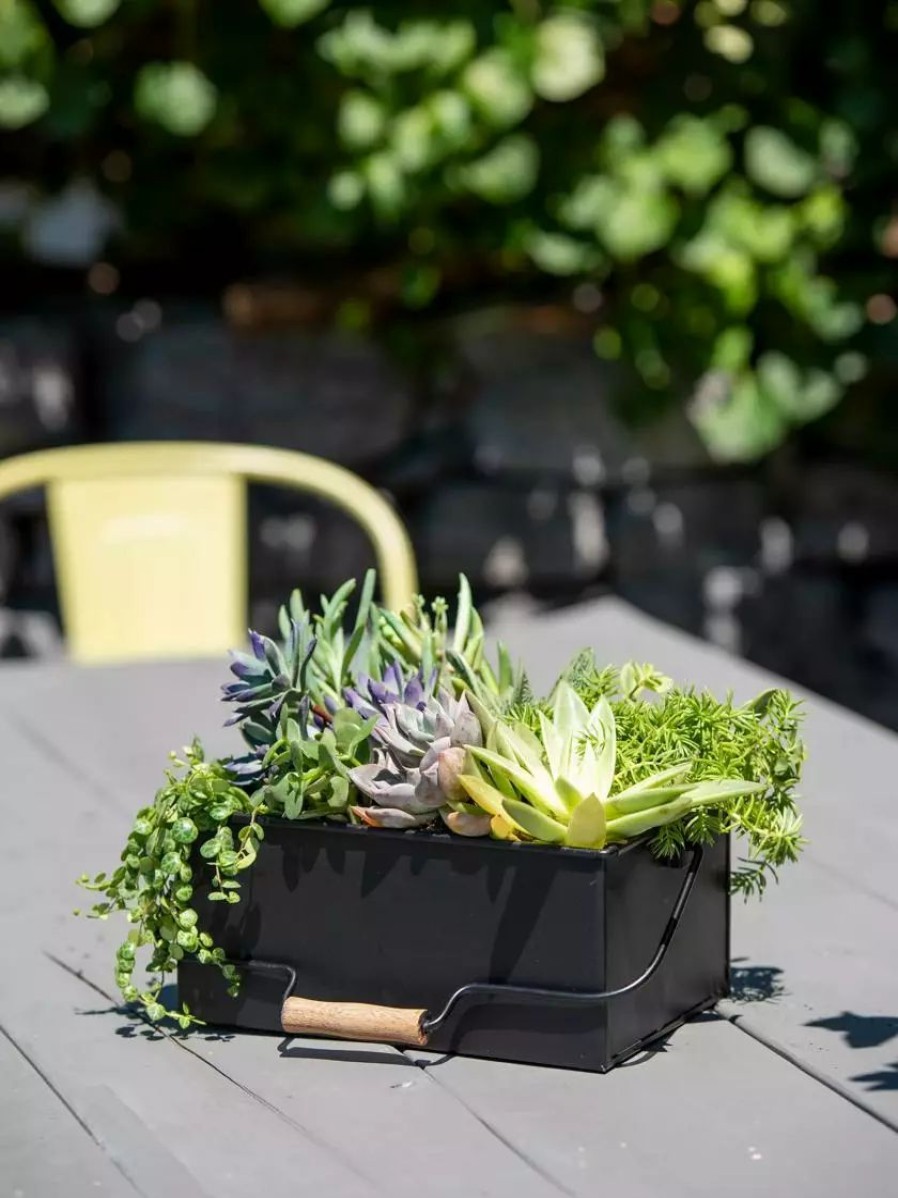 Home & Kitchen * | Gsc Metal Caddy Planter