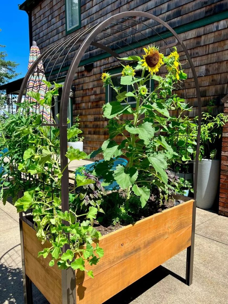 Planters & Raised Beds * | Gsc Eco-Stained Elevated Planter Box, 2'X4