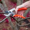 Garden Tools * | Gsc Castellari Ergonomic Anvil Pruner