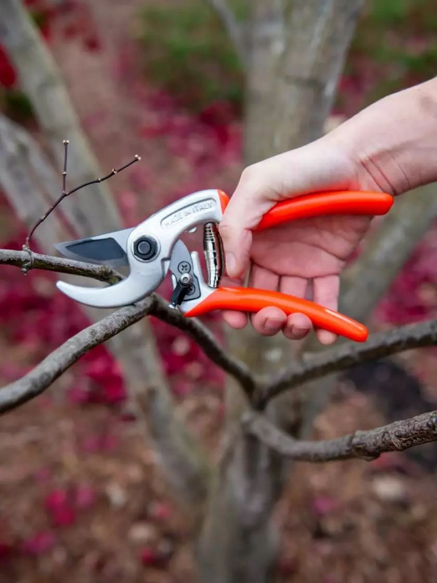 Garden Tools * | Gsc Castellari Ergonomic Anvil Pruner