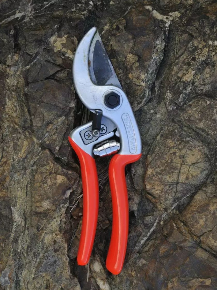 Garden Tools * | Gsc Castellari Ergonomic Anvil Pruner