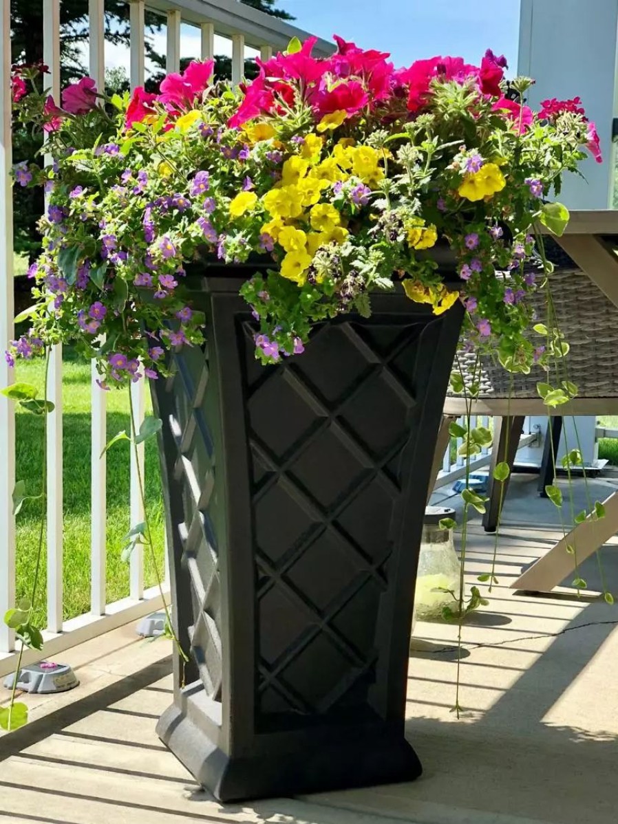 Planters & Raised Beds * | Gsc Carolina Self-Watering Tall Planter, 28