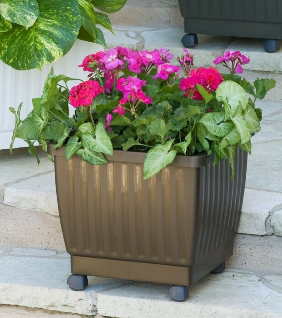 Planters & Raised Beds * | Gsc Self-Watering Rolling Planters, 15