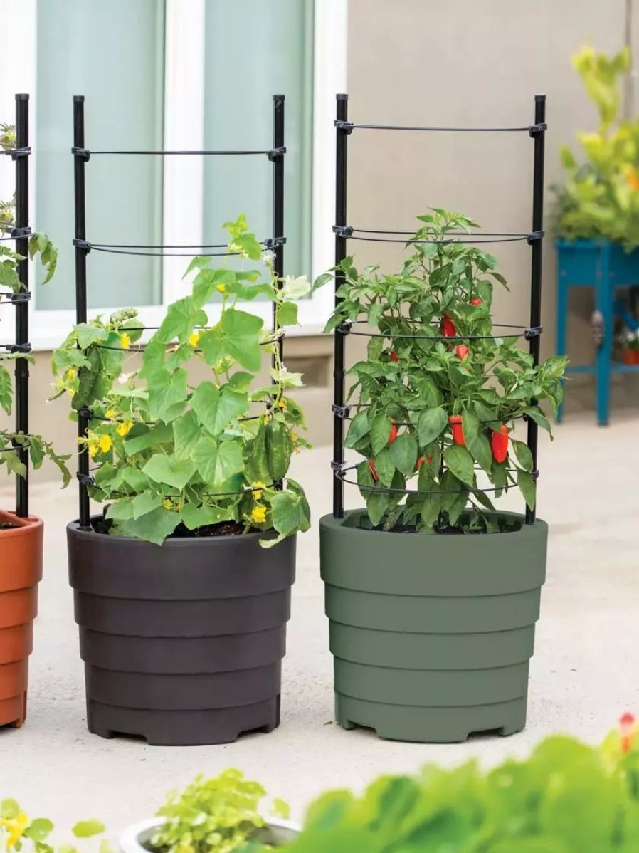 Planters & Raised Beds * | Gsc Gardener'S Victory Self-Watering Planter Garden Kit