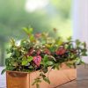 Planters & Raised Beds * | Gsc Tall Rectangular Copper Plant Tray, 18 X 5 X 4