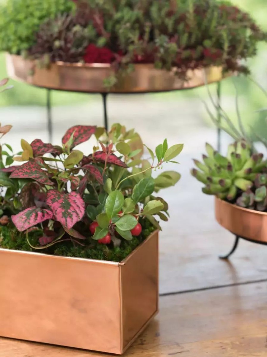 Planters & Raised Beds * | Gsc Tall Rectangular Copper Plant Tray, 18 X 5 X 4