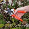 Garden Tools * | Gsc Castellari B12 Double-Blade Pruner