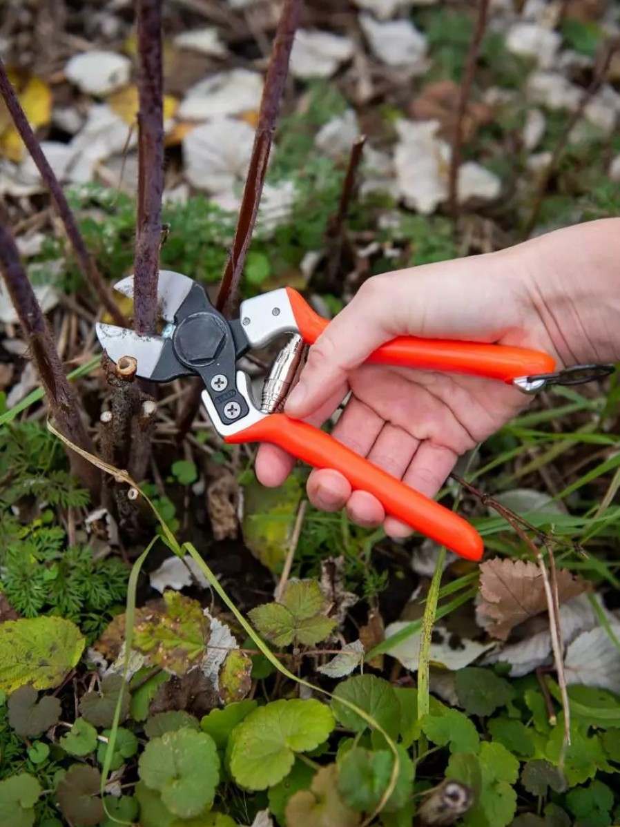 Garden Tools * | Gsc Castellari B12 Double-Blade Pruner