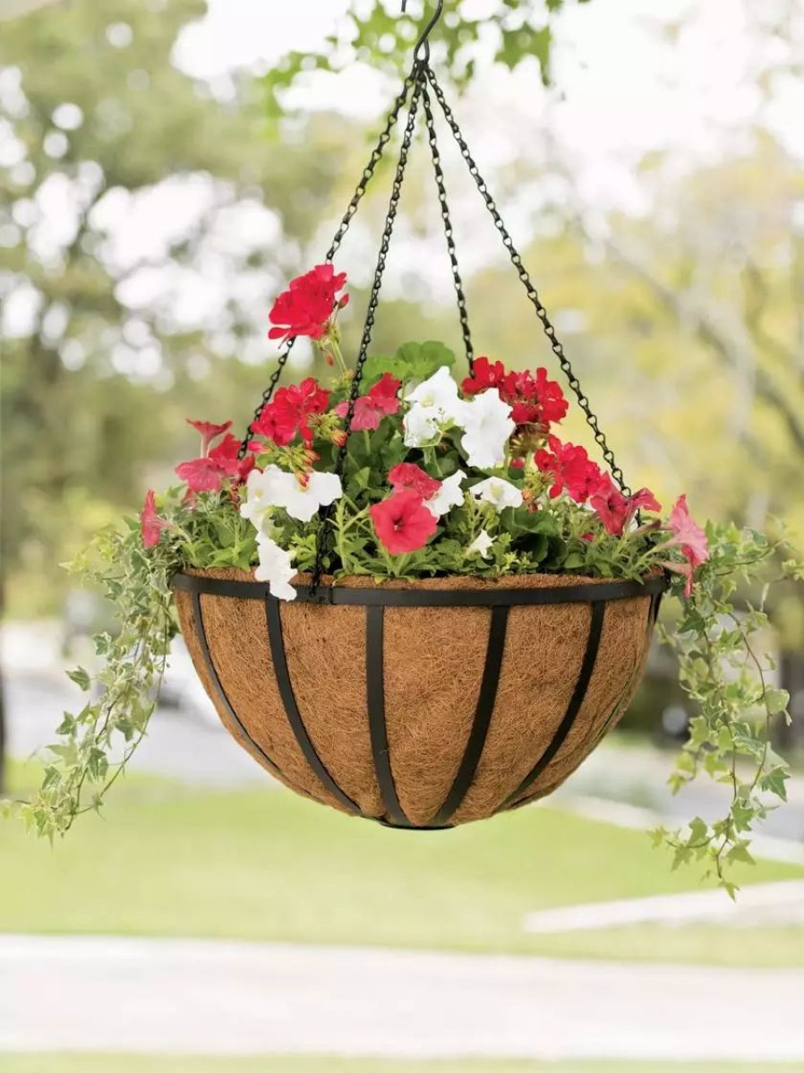 Planters & Raised Beds * | Gsc Aquasav Oxford Hanging Basket, 20