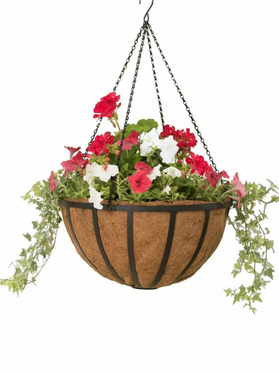 Planters & Raised Beds * | Gsc Aquasav Oxford Hanging Basket, 20