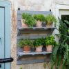 Planters & Raised Beds * | Gsc Vegtrug Herb Rack