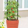 Planters & Raised Beds * | Gsc Gardener'S Victory Self-Watering Planter With Support System