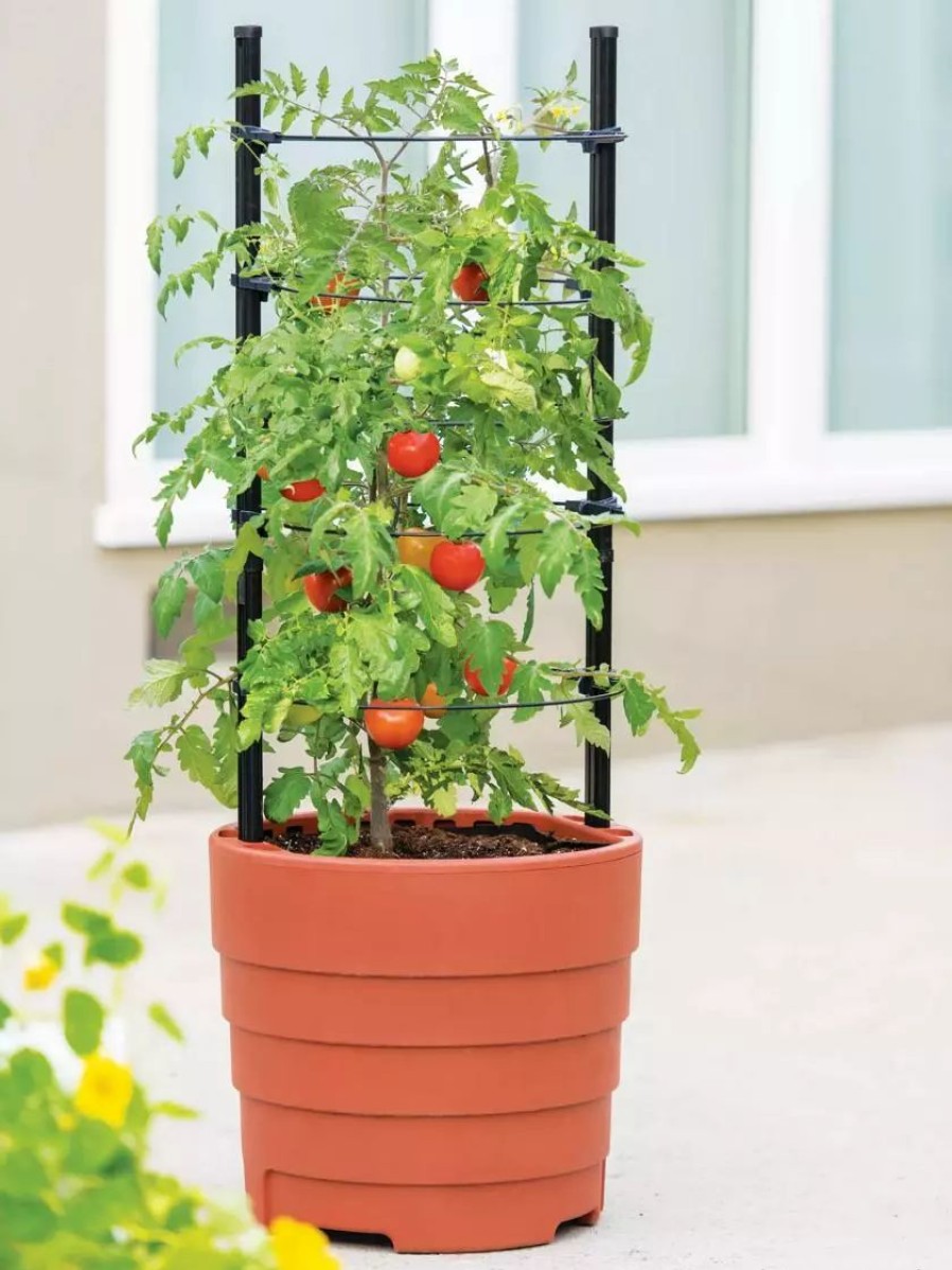 Planters & Raised Beds * | Gsc Gardener'S Victory Self-Watering Planter With Support System