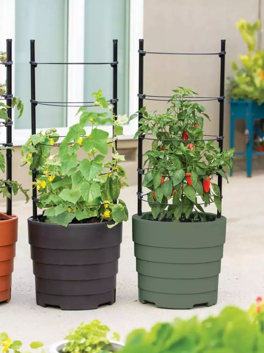 Planters & Raised Beds * | Gsc Gardener'S Victory Self-Watering Planter With Support System