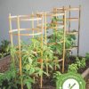 Plant Supports * | Gsc Bamboo Tomato Cages, Set Of 3