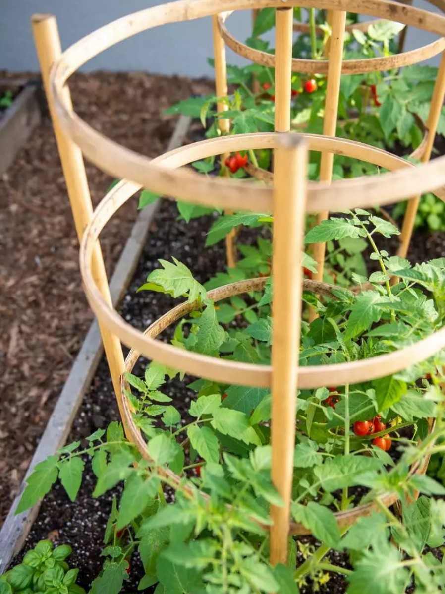 Plant Supports * | Gsc Bamboo Tomato Cages, Set Of 3