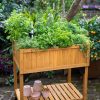 Planters & Raised Beds * | Gsc Vegtrug Self-Watering Herb Planter Box