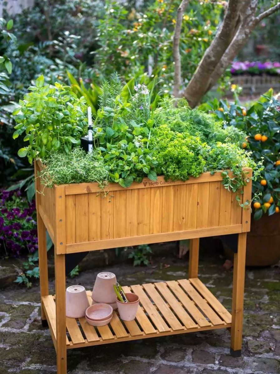 Planters & Raised Beds * | Gsc Vegtrug Self-Watering Herb Planter Box