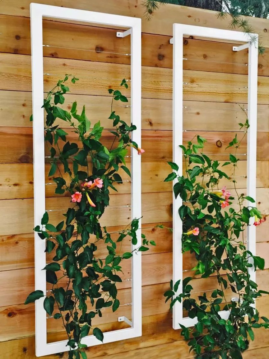 Plant Supports * | Gsc Ina Modern Wall Trellis Sr.