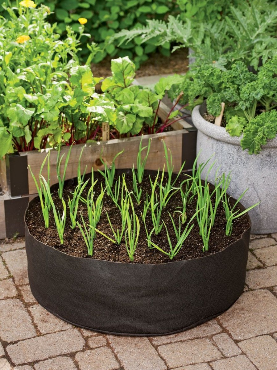 Planters & Raised Beds * | Gsc Garlic Grow Bag Kit