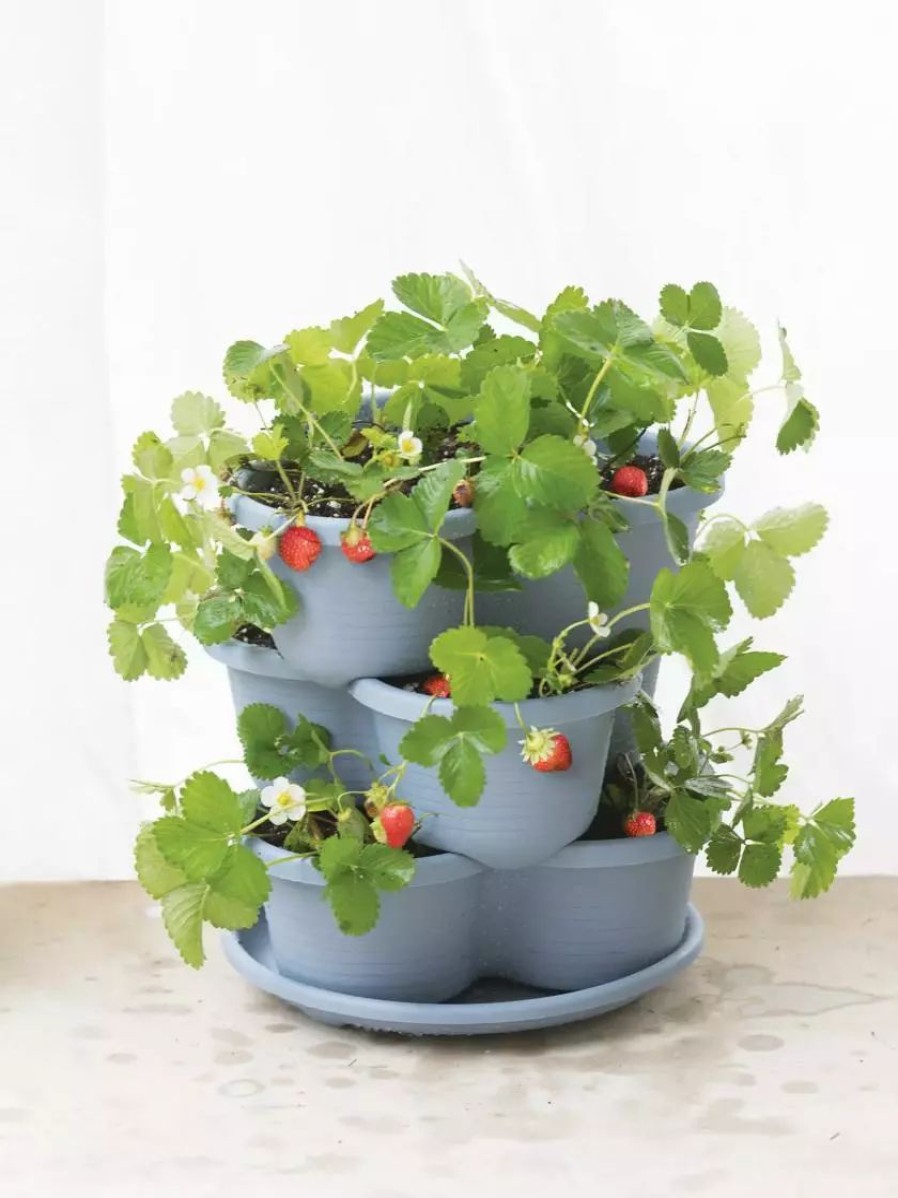 Planters & Raised Beds * | Gsc Stacking Strawberry Pot