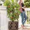 Planters & Raised Beds * | Gsc Gardener'S Revolution Tomato Planter