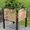 Planters & Raised Beds * | Gsc Elevated Cedar Planter Box, 2 X 2