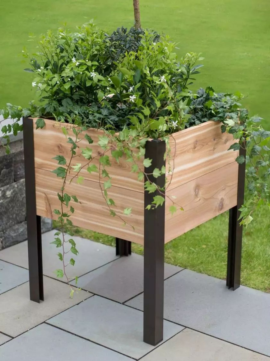 Planters & Raised Beds * | Gsc Elevated Cedar Planter Box, 2 X 2