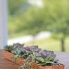 Planters & Raised Beds * | Gsc Rectangular Copper Plant Tray, 24 X 5