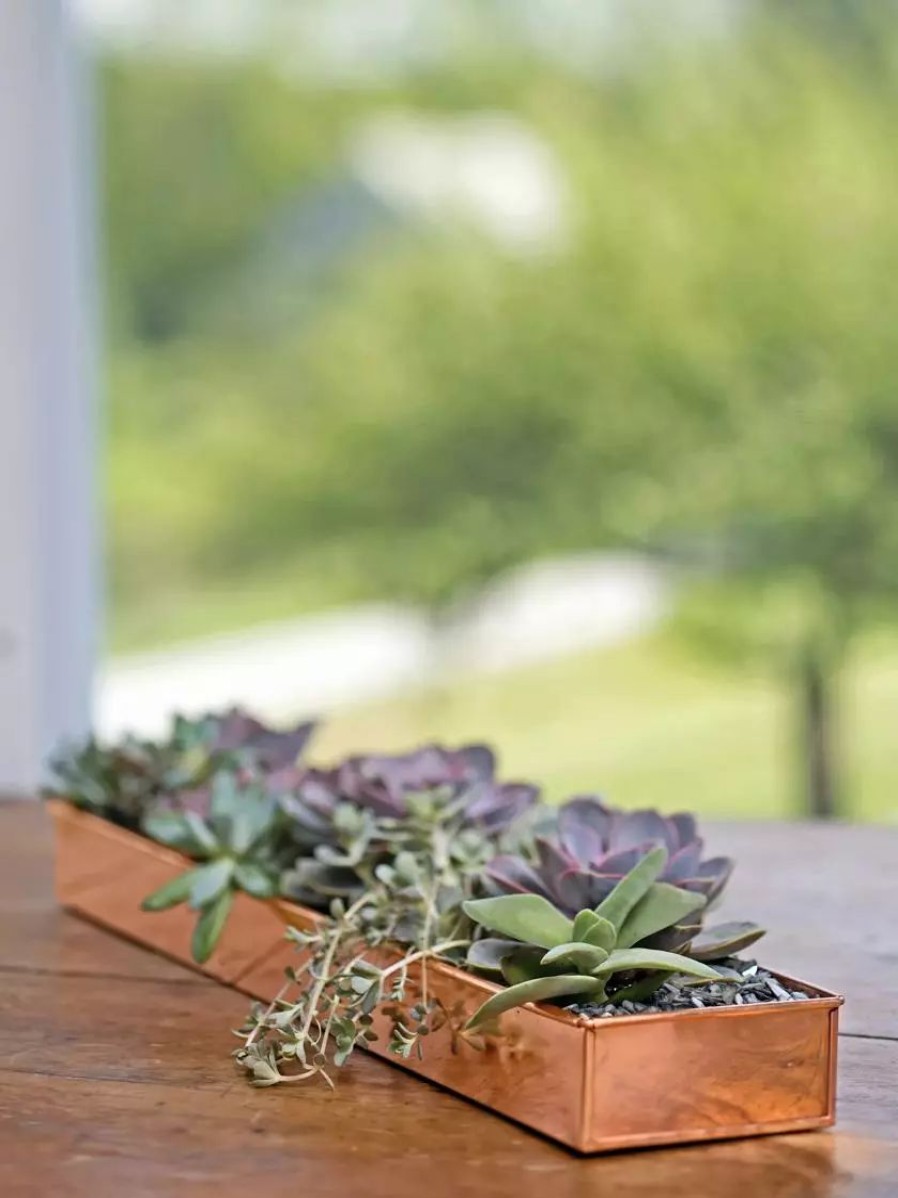 Planters & Raised Beds * | Gsc Rectangular Copper Plant Tray, 24 X 5