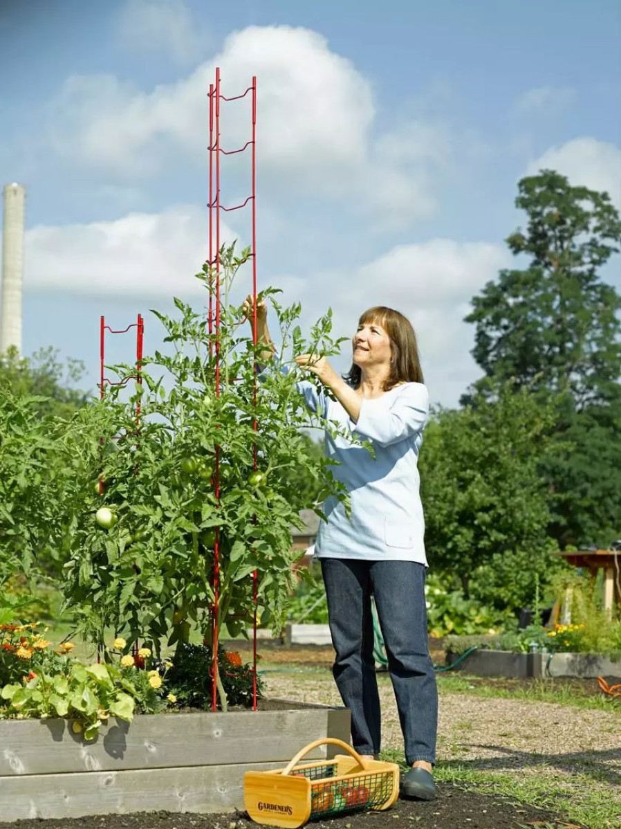 Plant Supports * | Gsc Stacking Tomato Ladders, Set Of 6