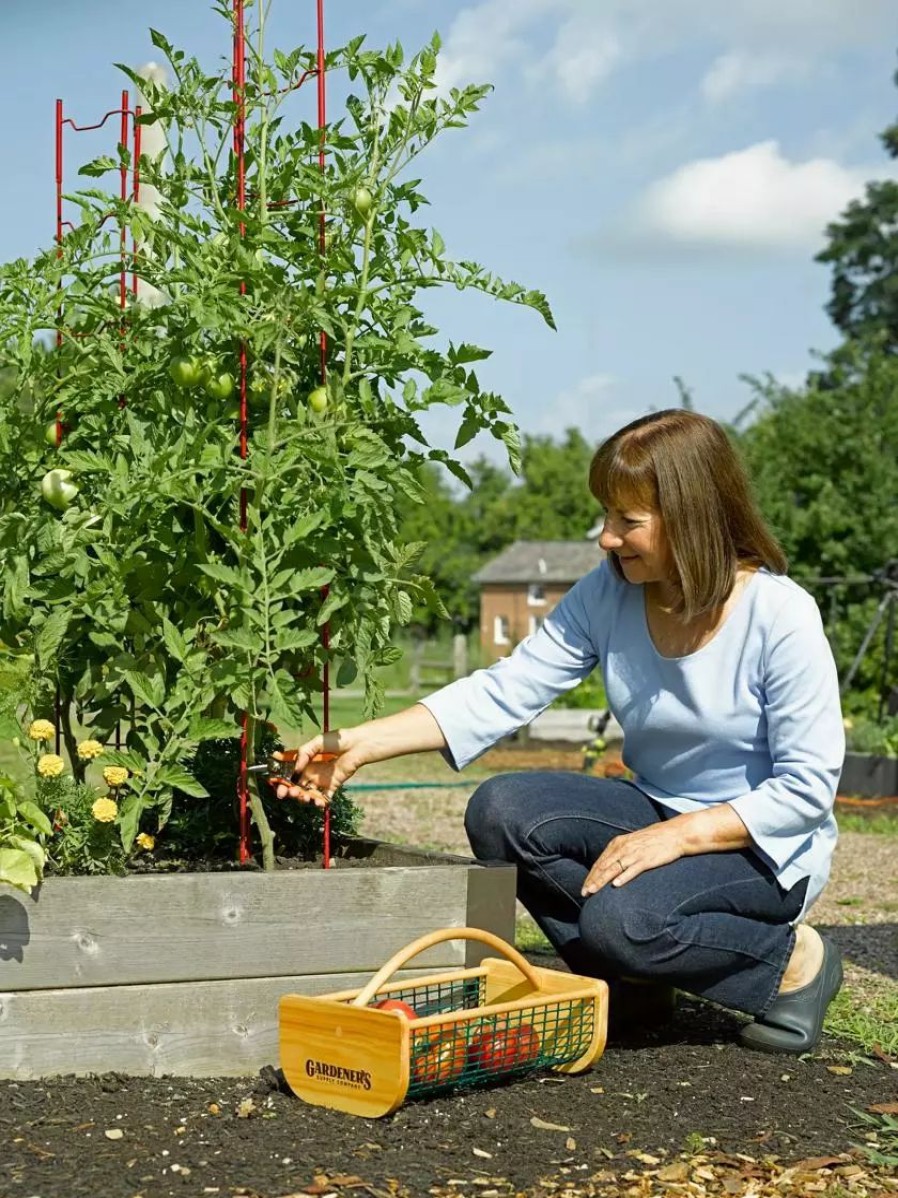 Plant Supports * | Gsc Stacking Tomato Ladders, Set Of 6