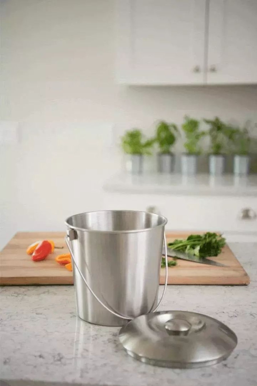 Home & Kitchen * | Gsc Brushed Stainless Steel Compost Pail