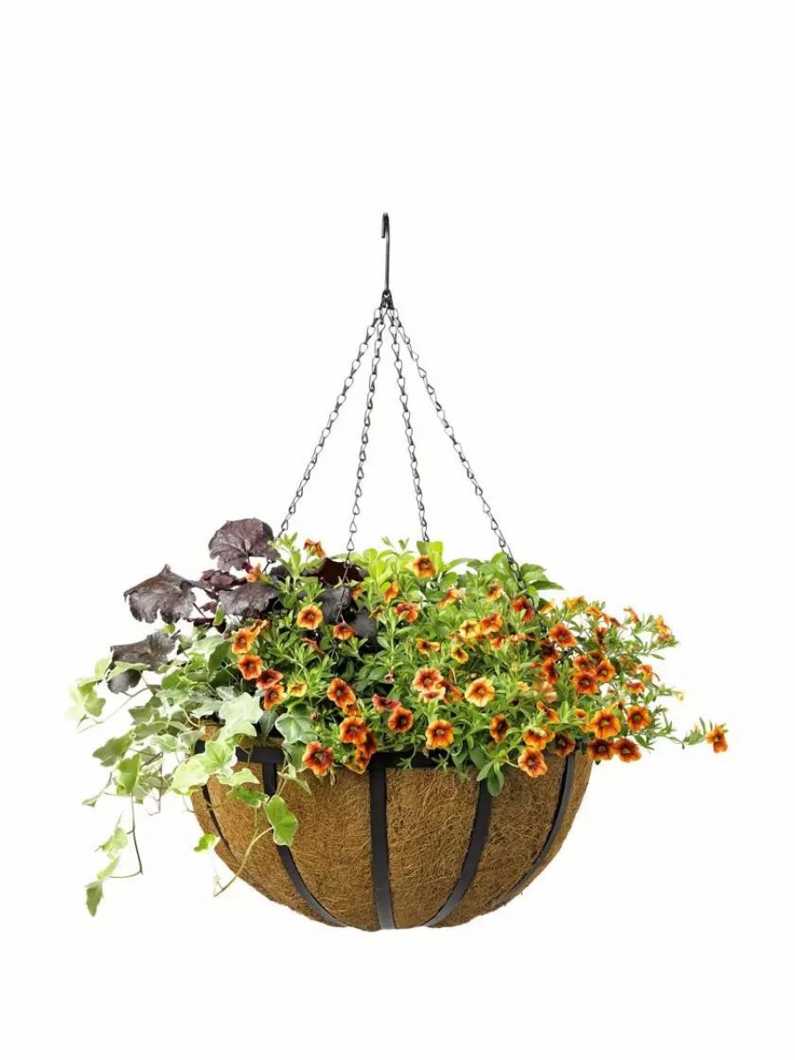 Planters & Raised Beds * | Gsc Aquasav Oxford Hanging Basket, 18