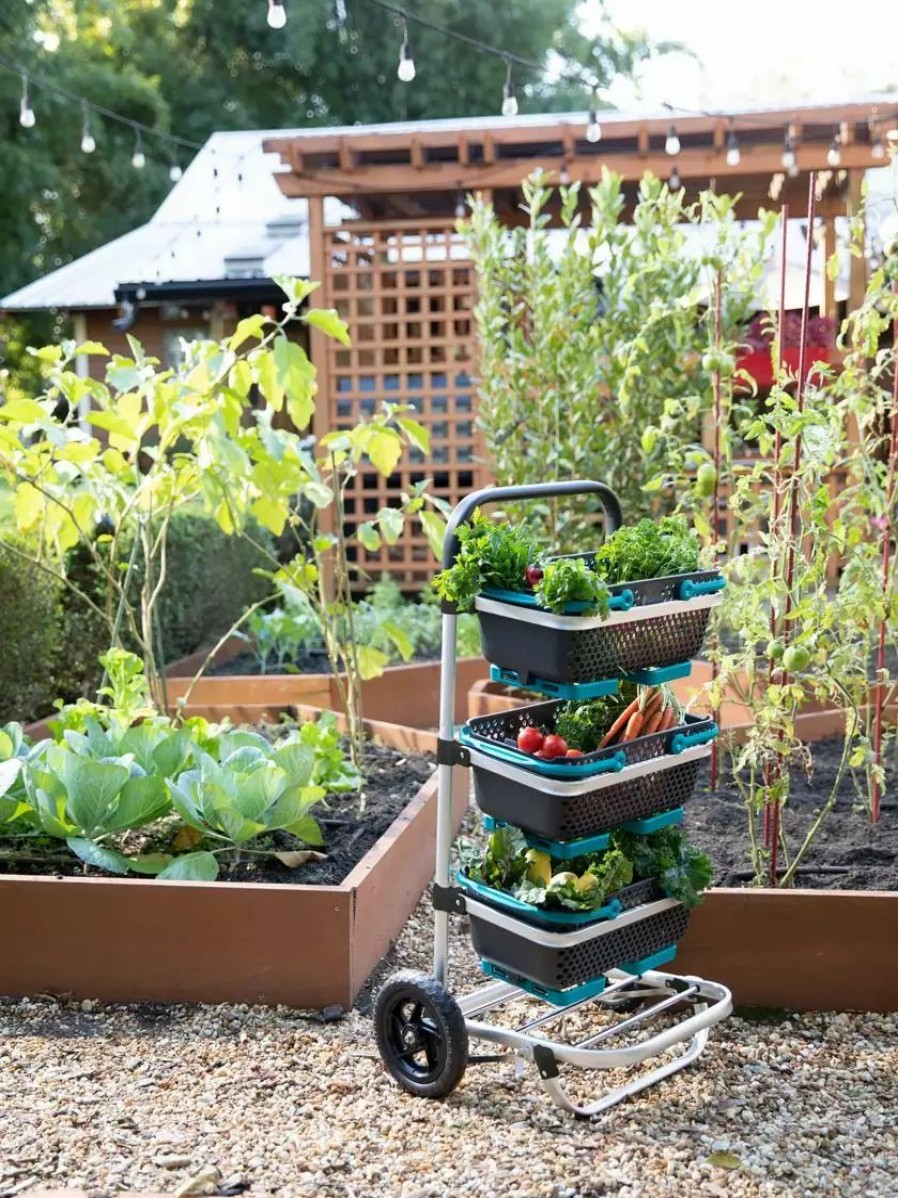 Garden Tools * | Gsc Mod Hod Trolley With Teal Mod Hods