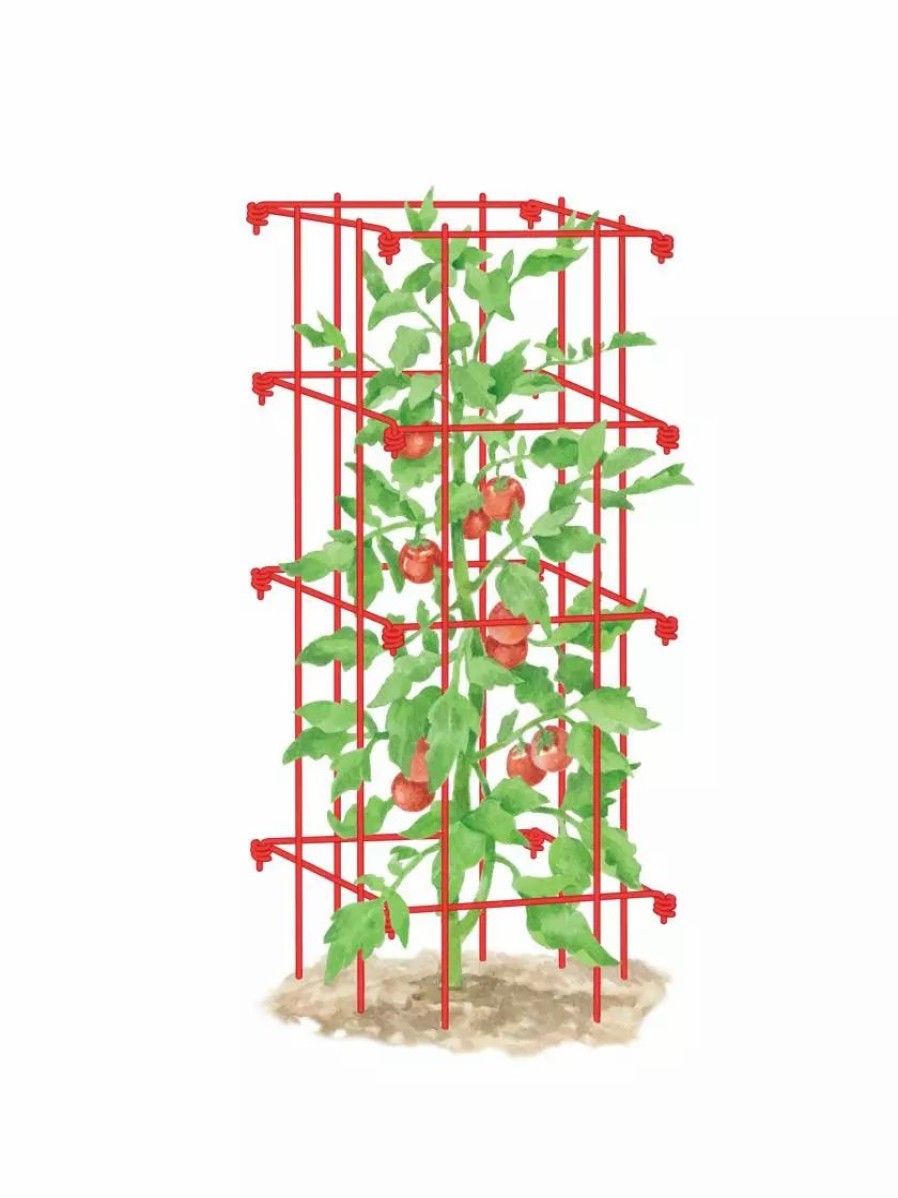 Plant Supports * | Gsc Tomato Cage, Single