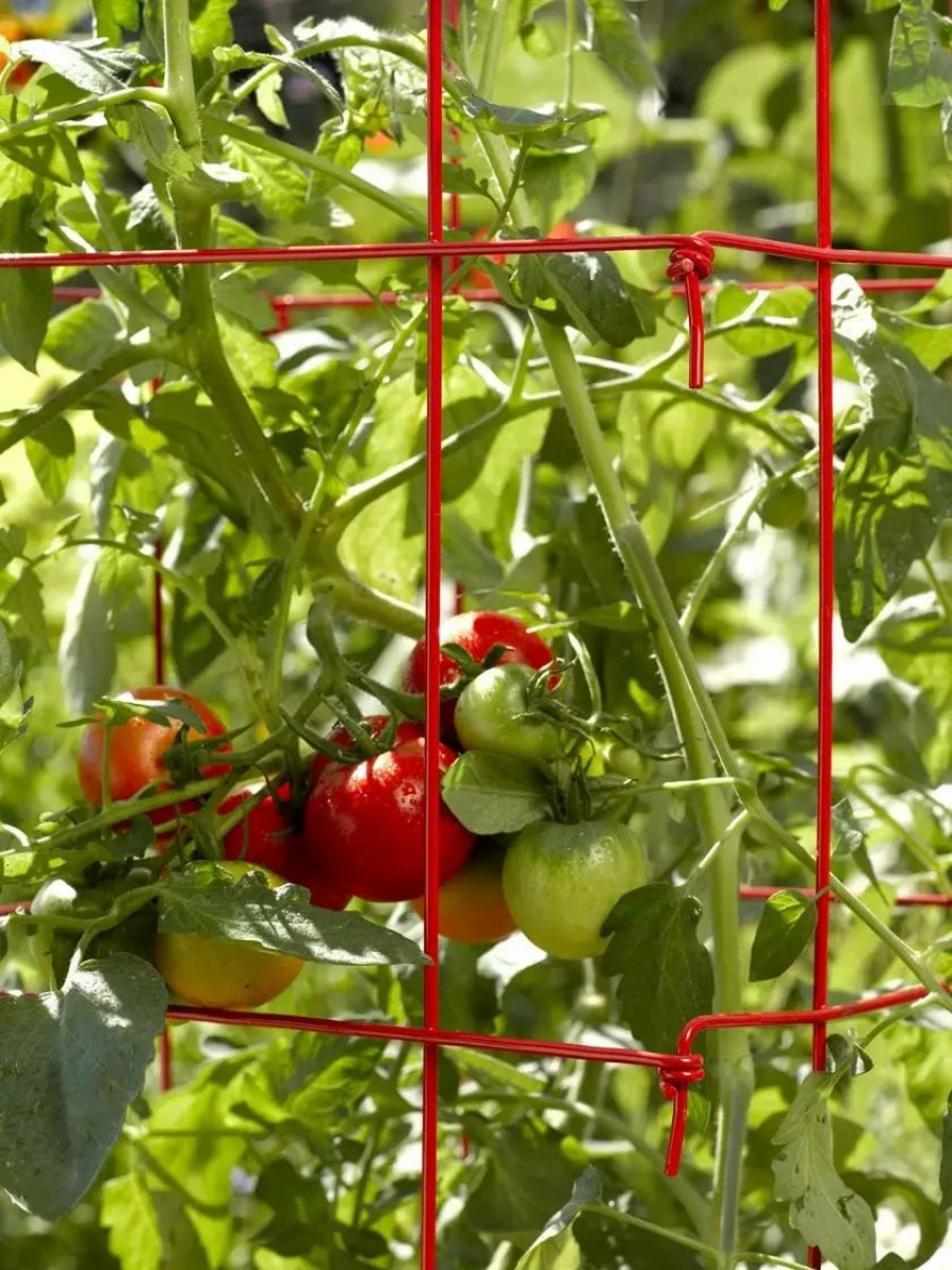 Plant Supports * | Gsc Tomato Cage, Single