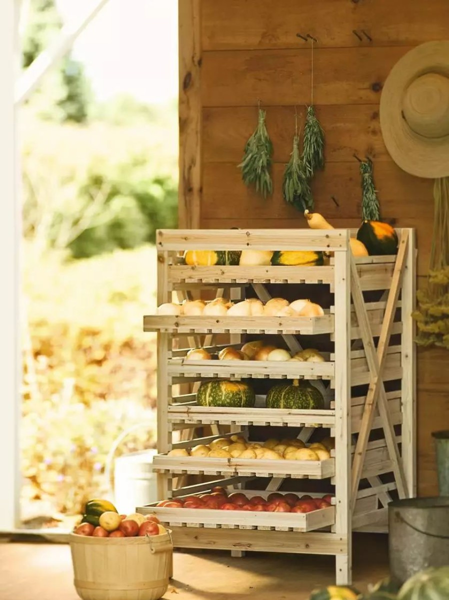 Home & Kitchen * | Gsc Orchard Rack, 6 Drawer