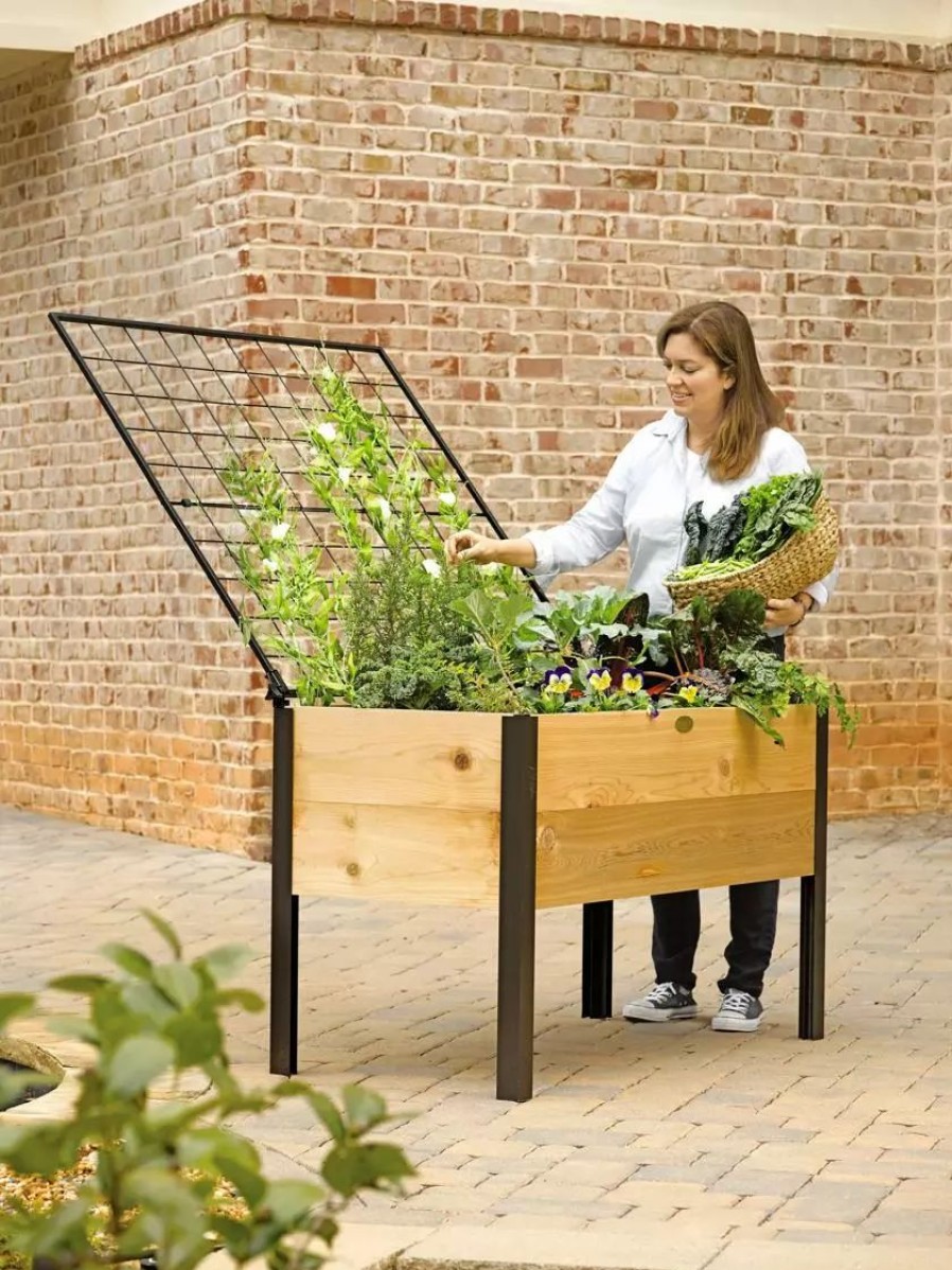 Planters & Raised Beds * | Gsc Elevated Planter Box And Space-Maker Pivoting Trellis Set, 2 X 4