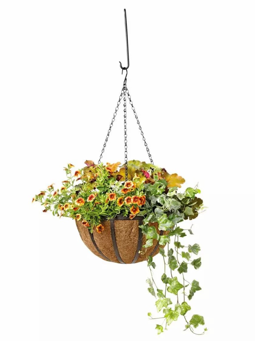 Planters & Raised Beds * | Gsc Aquasav Oxford Hanging Basket, 14