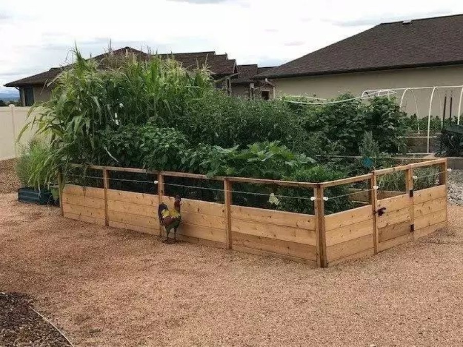 Planters & Raised Beds * | Gsc Garden In A Box, 8 X 16