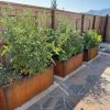 Planters & Raised Beds * | Gsc Nice Corten Trough Planters With Trellis