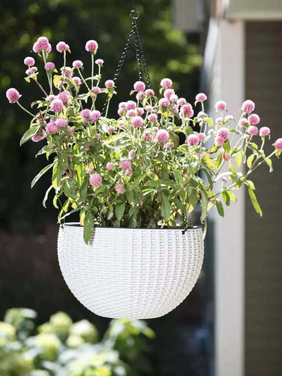 Planters & Raised Beds * | Gsc Weave Self-Watering Hanging Basket, 10