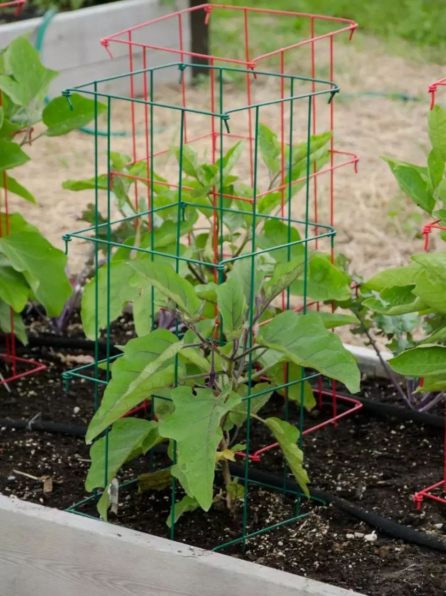 Plant Supports * | Gsc Pepper And Eggplant Cages, Set Of 3