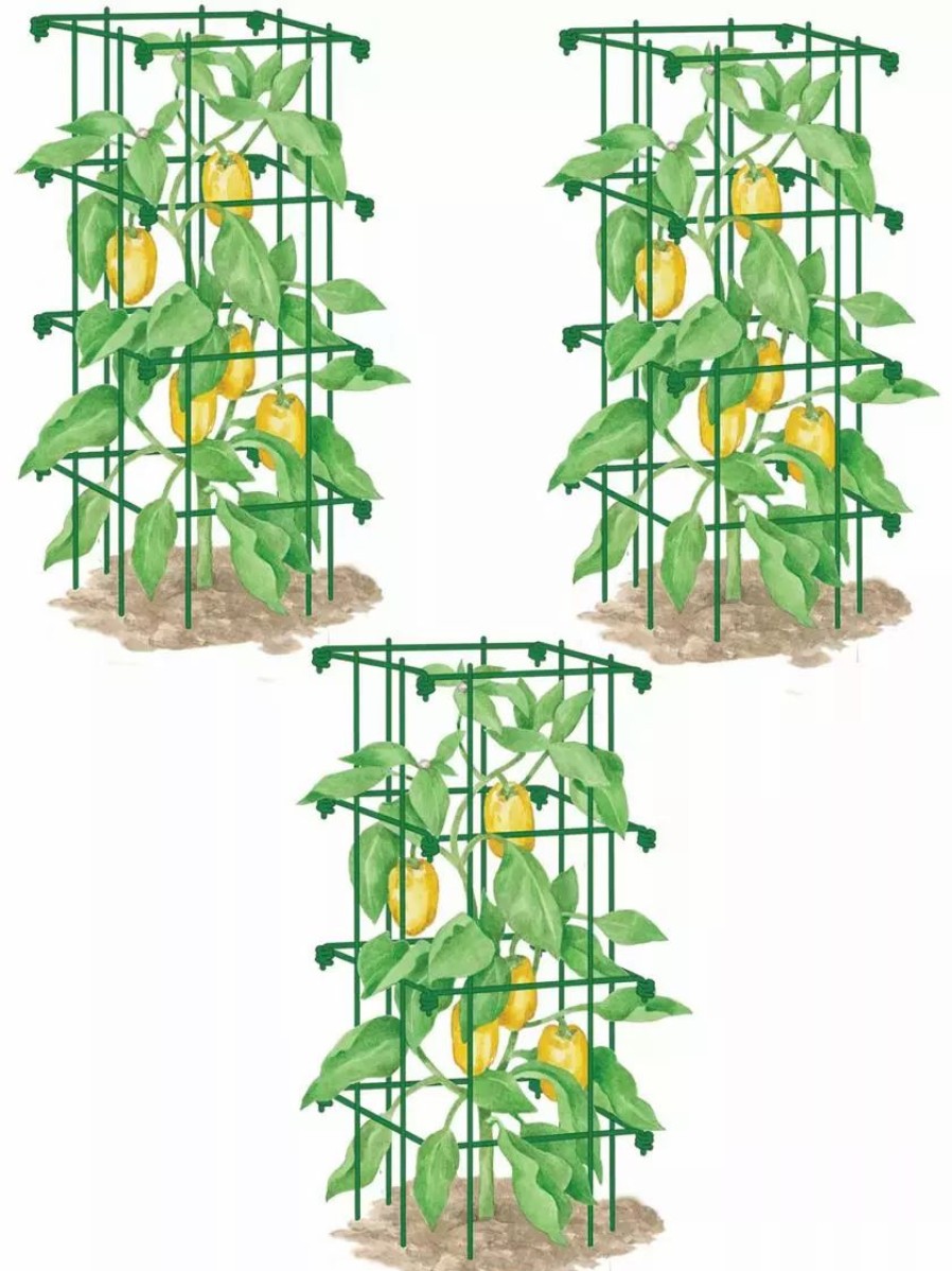 Plant Supports * | Gsc Pepper And Eggplant Cages, Set Of 3