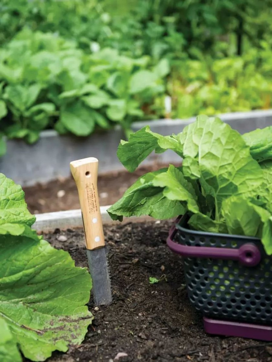 Garden Tools * | Gsc Gardener'S Lifetime Hori Hori Knife