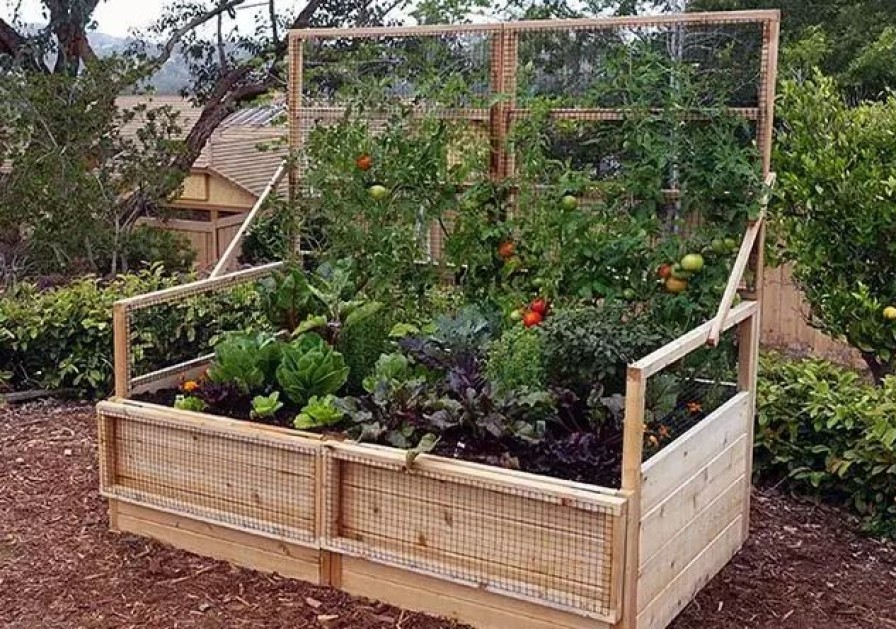 Planters & Raised Beds * | Gsc Garden In A Box With Trellis/Lid Option, 3 X 6